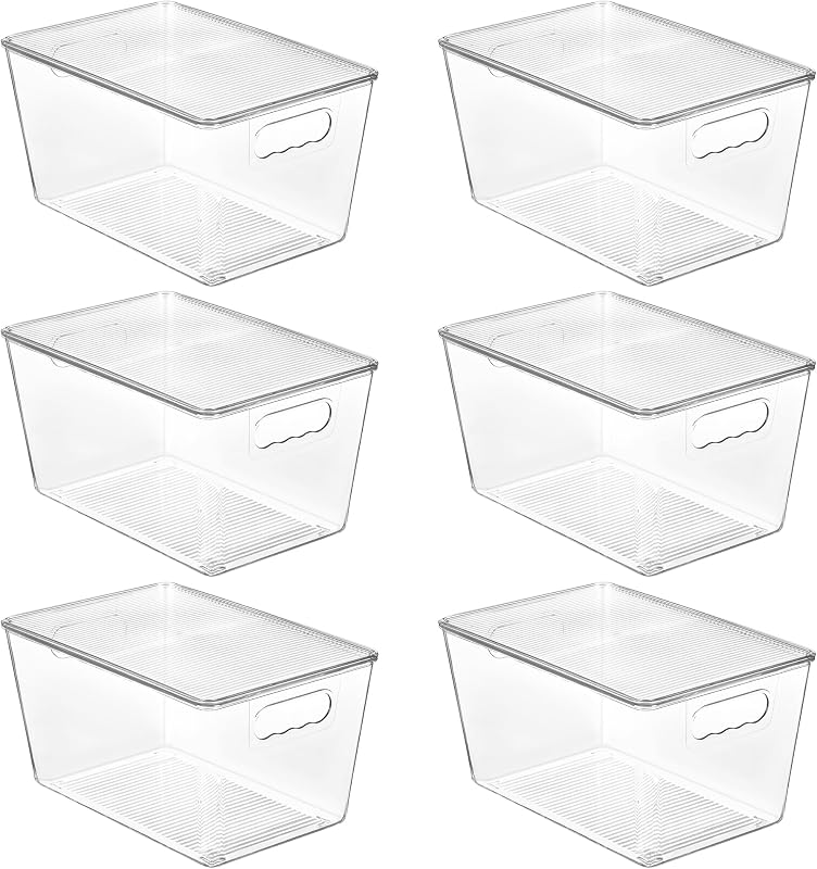 Clear plastic storage bins with lids